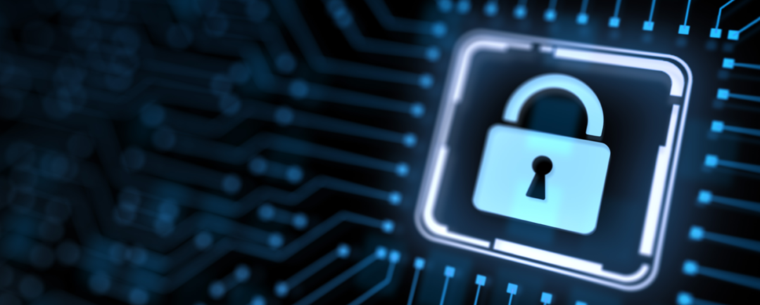 Data Privacy Day encourages online vigilancefor customers and businesses