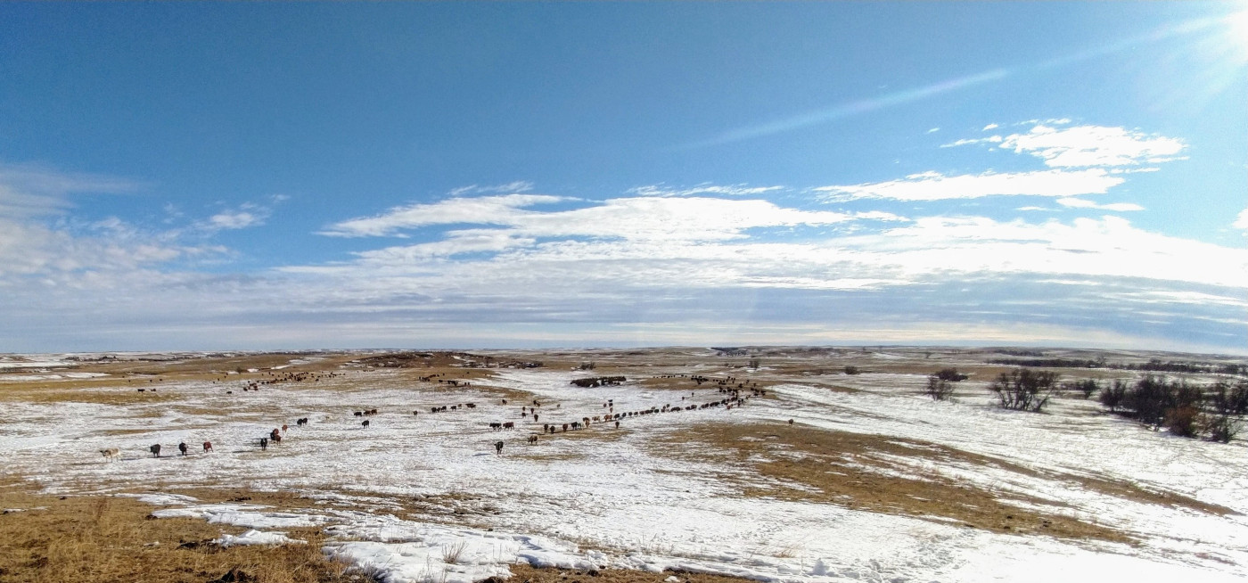 Robert Dennis Ranch