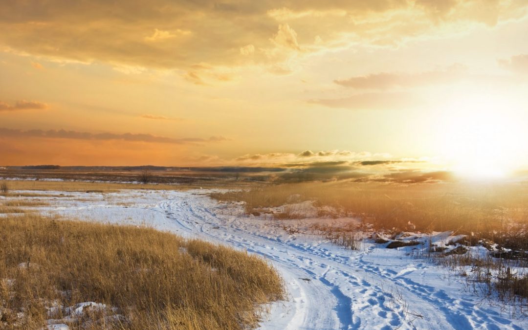 5 Ways to Be Productive When the Sun Interferes With Your Cable