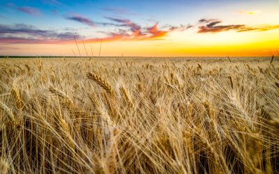 2025 Photo Contest