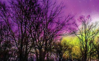 Past Photo Contest Winners