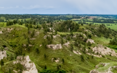 Non-traditional student helps guide teens with work